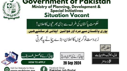 Ministry of Planning, Development & Special Initiatives Jobs